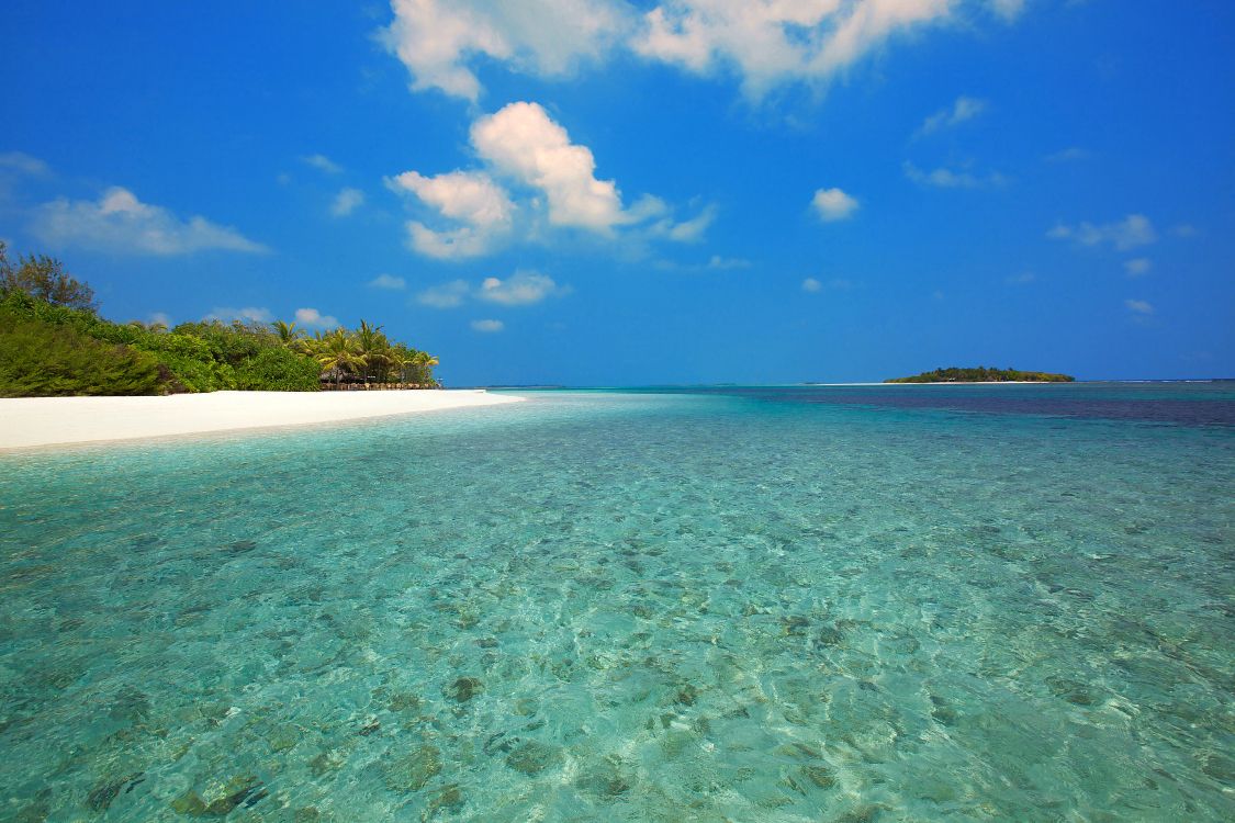大海, 马尔代夫, 海岸, 沿海和海洋地貌, 热带地区 壁纸 5000x3333 允许