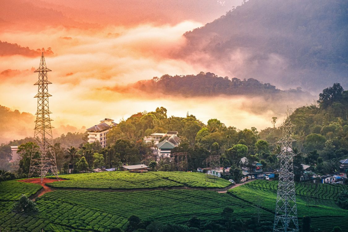 Naturaleza, Montaje de Escenografía, Munnar, Estación de la Colina, Zona Rural. Wallpaper in 6000x4000 Resolution