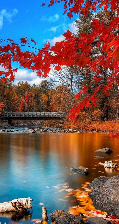 Image autumn, water, cloud, natural landscape, nature