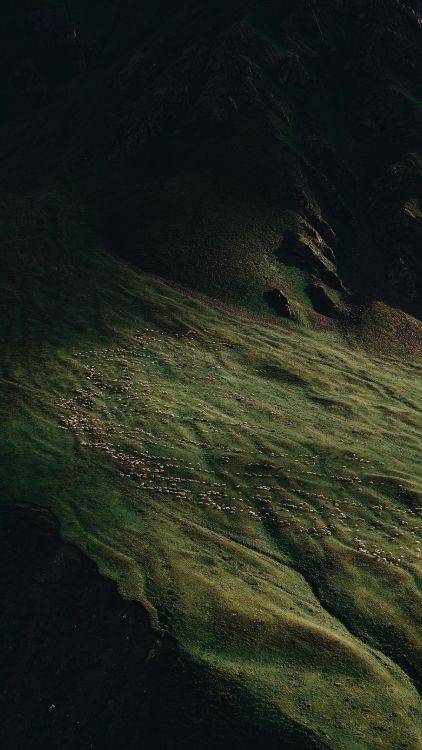 Nature, Terre, Eau, de Teintes et de Nuances, Prairie. Wallpaper in 2052x3640 Resolution