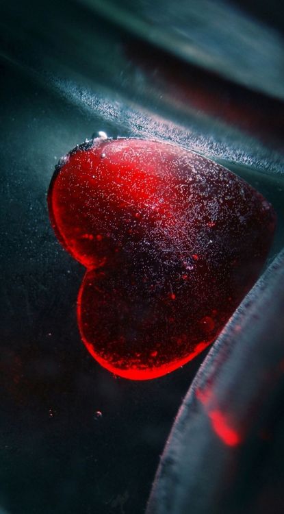 Red, Eau, Espace, Chair, Obscurité. Wallpaper in 1224x2208 Resolution