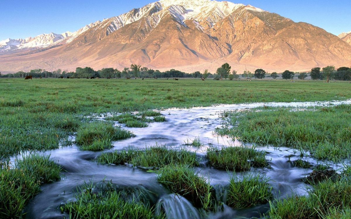 Champ D'herbe Verte Près de la Montagne Brune Pendant la Journée. Wallpaper in 2560x1600 Resolution