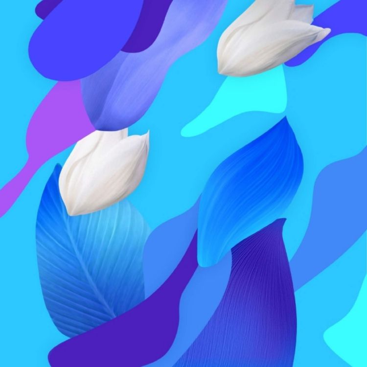 Huawei, Huawei Nova, Huawei Nova 5, Un Nuevo 5 Para, Huawei Nova 5 Pro. Wallpaper in 2340x2340 Resolution