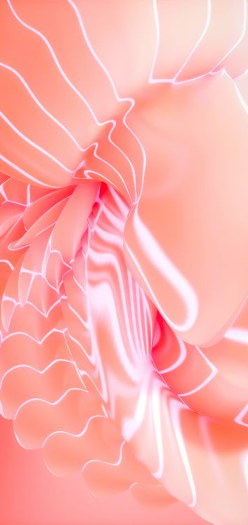 Mathématique, Textile, Pétale, Manche, Pink. Wallpaper in 1421x3000 Resolution