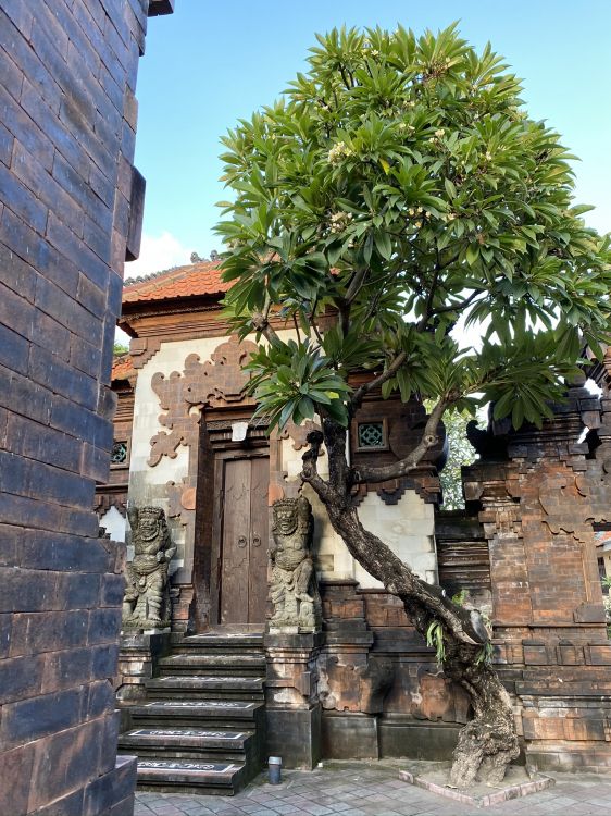 Histoire Ancienne, Brique, Escalier, Mur, Feuille. Wallpaper in 1536x2048 Resolution