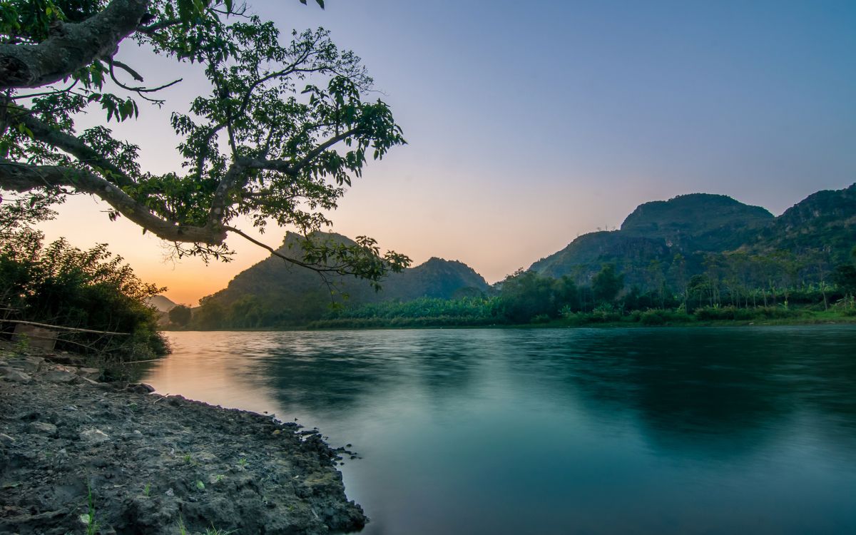 green trees near body of water during daytime