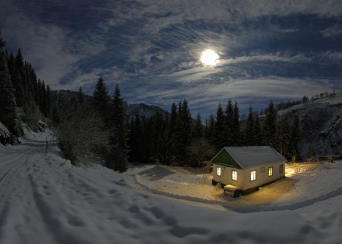 Image green house surrounded by snow covered field and pine trees under blue sky and white clouds