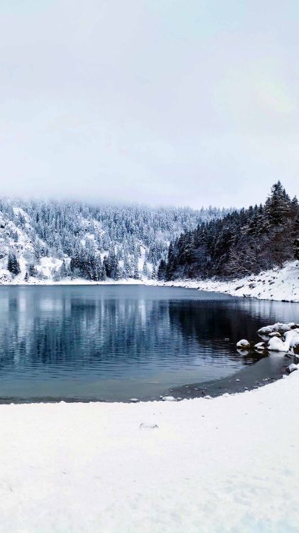 Invierno, Wisgoon - Red Social, Agua, Nieve, Paisaje Natural. Wallpaper in 2160x3840 Resolution