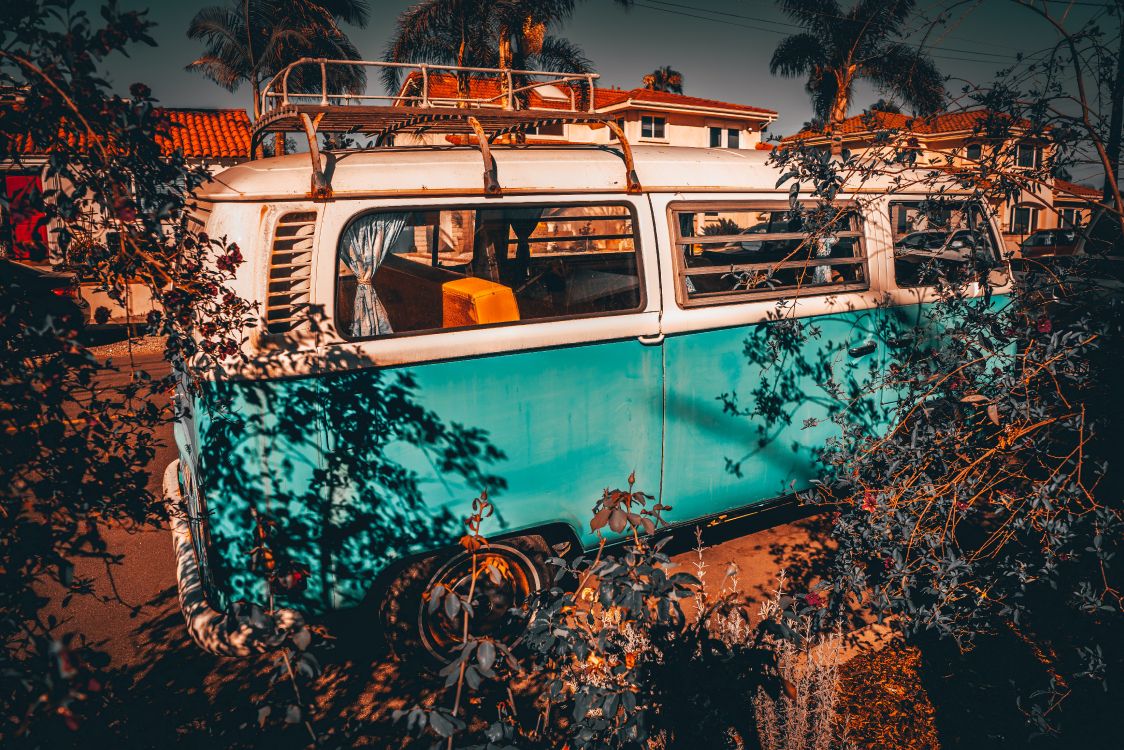 Volkswagen T-1 Azul y Blanco. Wallpaper in 7952x5304 Resolution