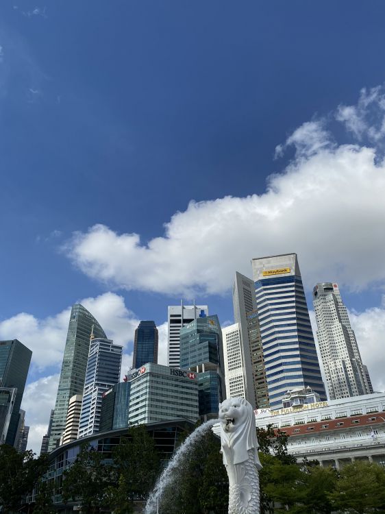 塔块, 酒店, 城市, 大都会, 公寓 壁纸 1536x2048 允许