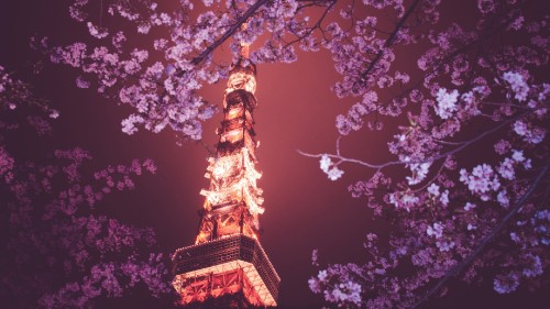 Image low angle photography of brown and white tower under purple sky