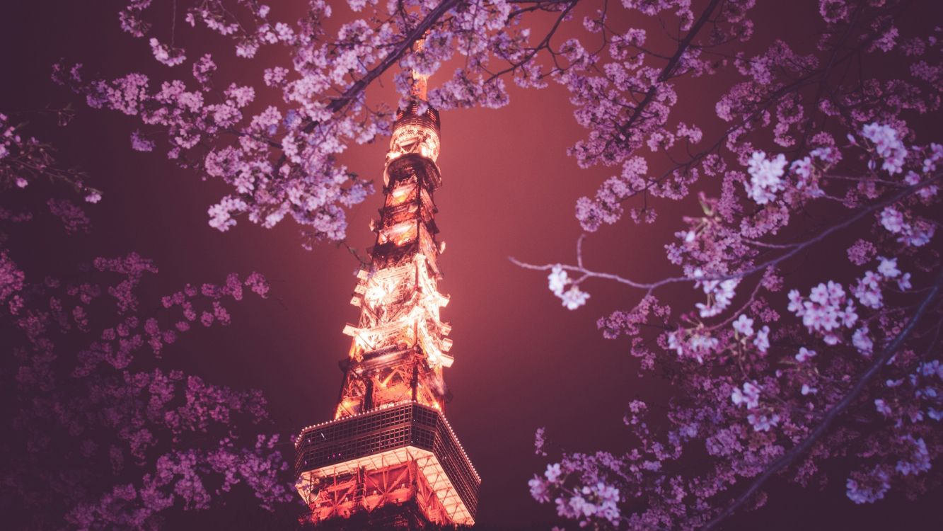 low angle photography of brown and white tower under purple sky