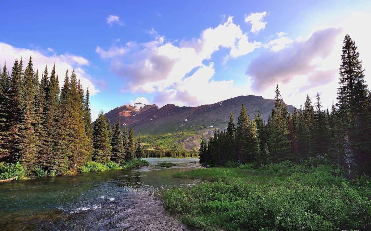 Pinos Verdes Cerca Del Lago Bajo un Cielo Azul Durante el Día. Wallpaper in 2560x1600 Resolution