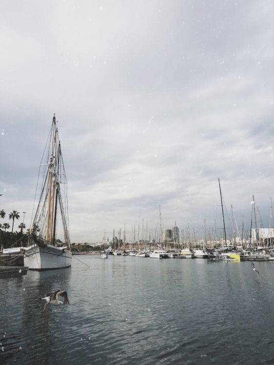 Marina, Segel, Mast, Boot, Segelboot. Wallpaper in 3024x4032 Resolution