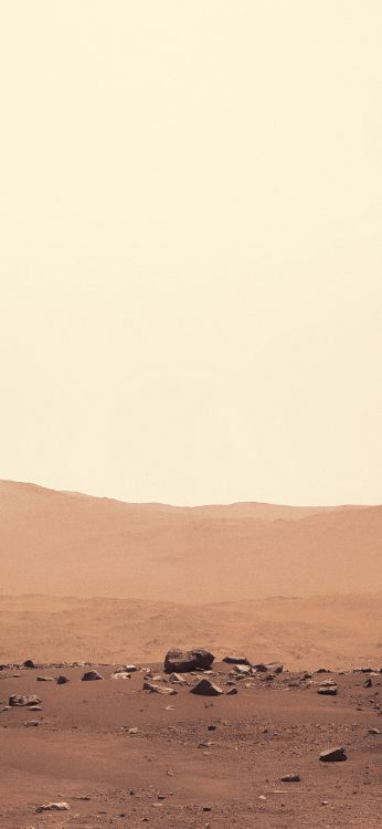 Mar, Perseverence, Mars 2020, IOS, Brown. Wallpaper in 1242x2688 Resolution