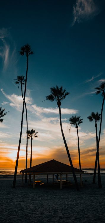 Luxe Agoris, Shazam, Spotify, Streaming Media, Eau. Wallpaper in 1420x3000 Resolution