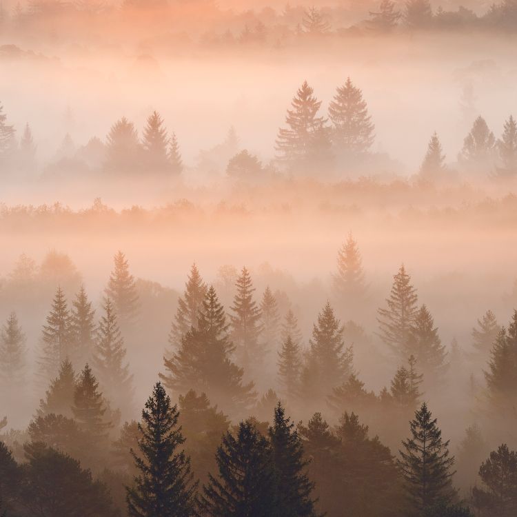 Nokia C31 4gb 64gb 6 7 Doble Sim, Nokia, Nokia 5300, Smartphone, Bruma. Wallpaper in 1760x1760 Resolution