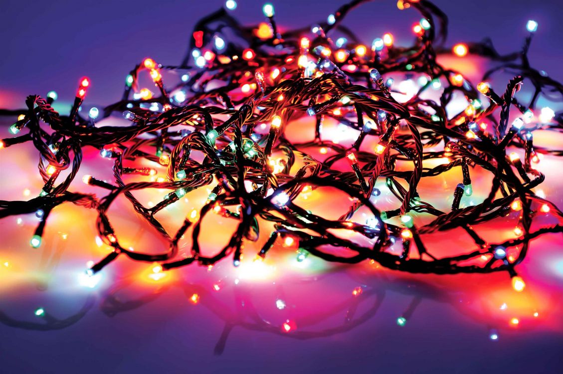 garland, branch, christmas lights, lighting, light