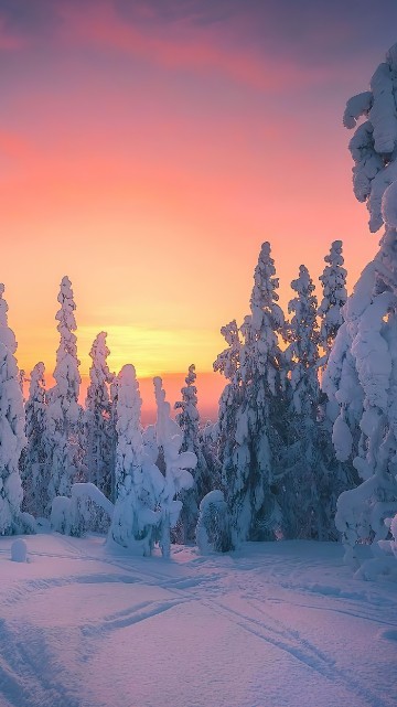 Image oy levi ski resort, winter, snow, cloud, afterglow