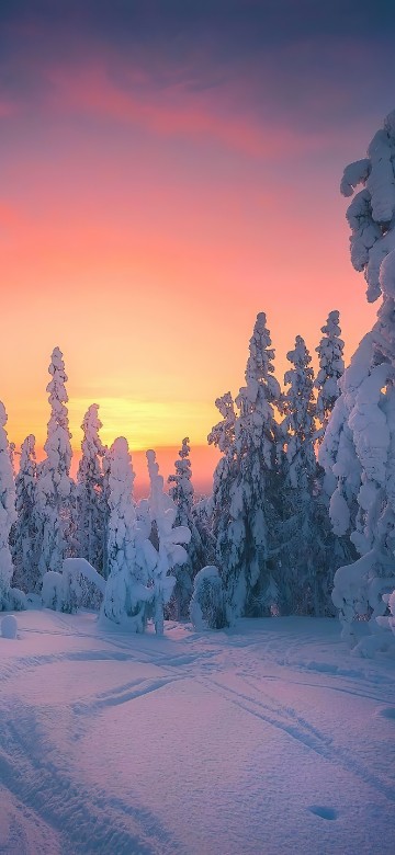 Image oy levi ski resort, winter, snow, cloud, afterglow