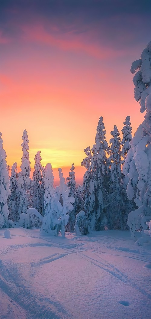 Image oy levi ski resort, winter, snow, cloud, afterglow