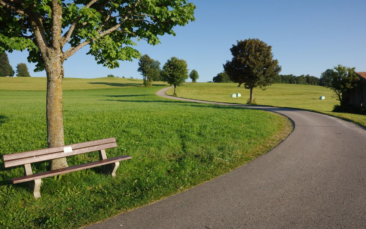 Brown Wooden Bench on Green Grass Field During Daytime. Wallpaper in 1920x1200 Resolution