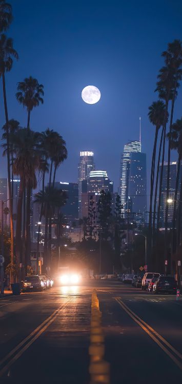 Wolkenkratzer, Gebäude, Architektur, Atmosphäre, Tageszeit. Wallpaper in 1420x3000 Resolution