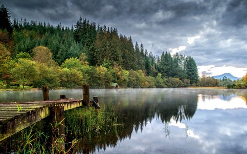 Image green trees beside body of water under cloudy sky during daytime