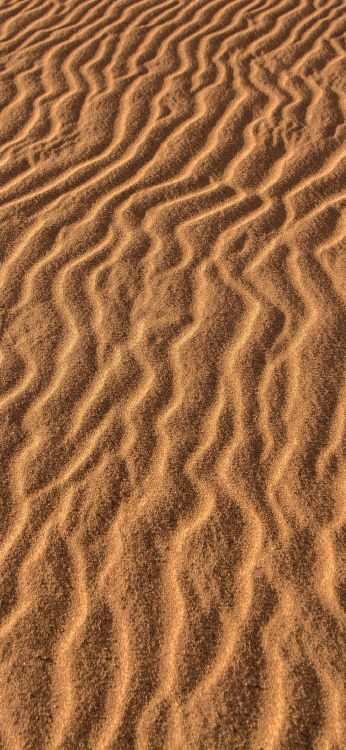 Sand, Brown, Ökoregion, Natürlichen Umgebung, Naturlandschaft. Wallpaper in 1080x2340 Resolution