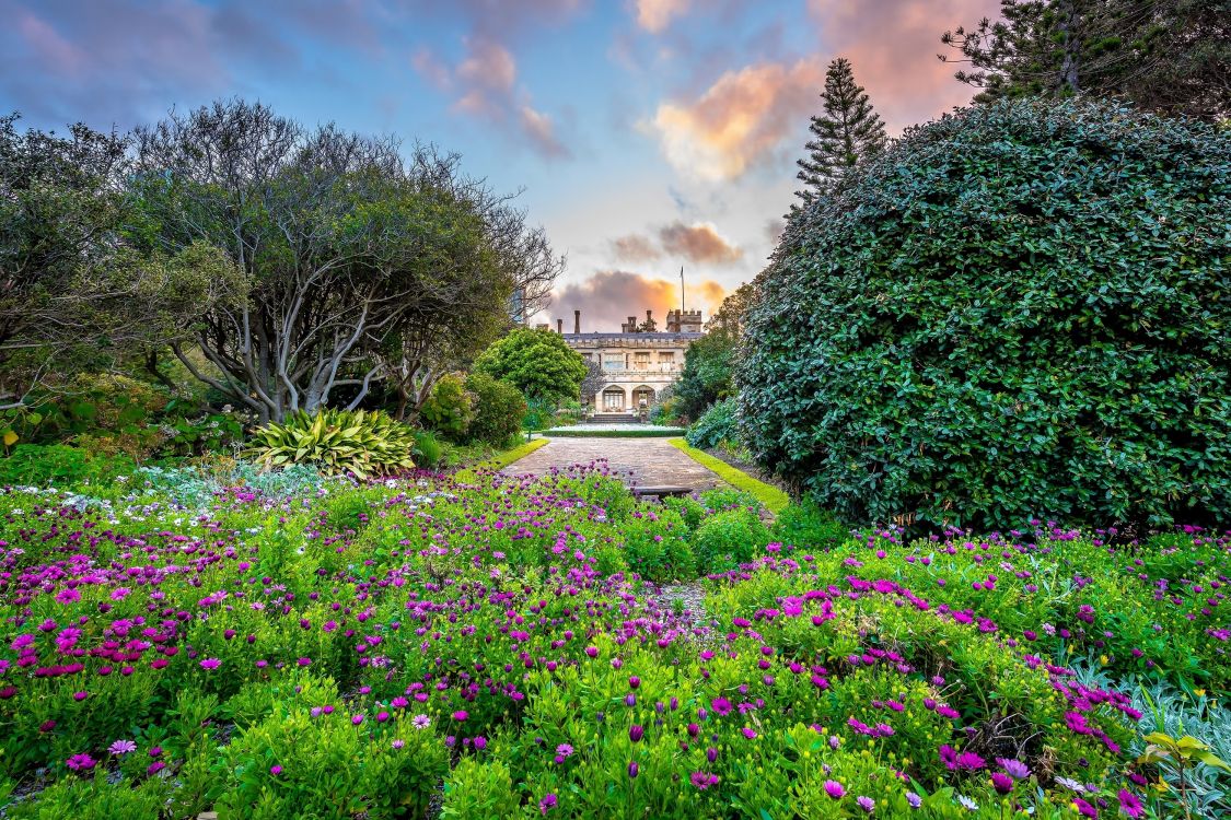 花园, 植物园, 性质, 植被, 草 壁纸 3000x2000 允许