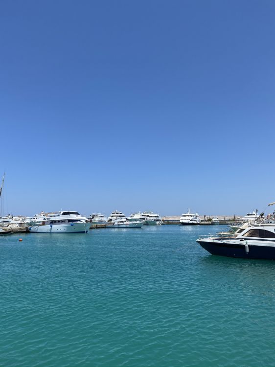Marina, Terminal de Croisière de Kai Tak, Motomarine, Eau, Bateau. Wallpaper in 1536x2048 Resolution