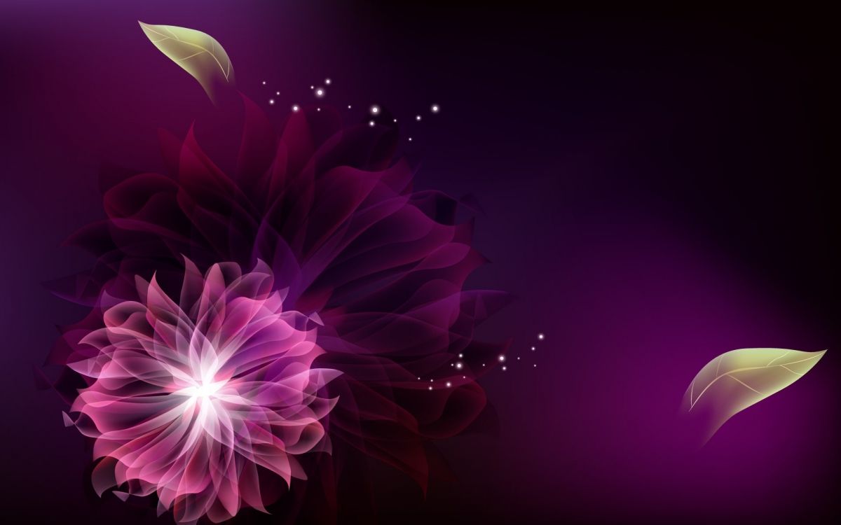 Pink and White Flower Illustration. Wallpaper in 1920x1200 Resolution