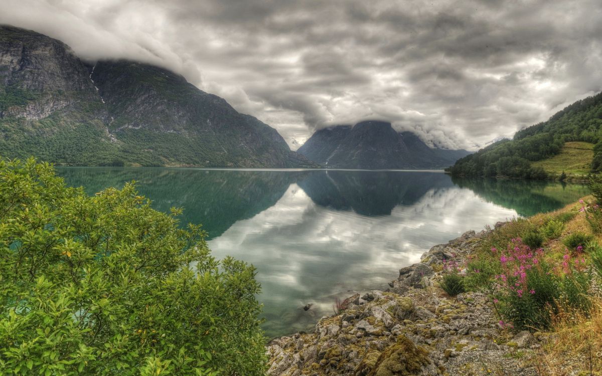 Arbres Verts Près du Lac Sous un Ciel Nuageux Pendant la Journée. Wallpaper in 2560x1600 Resolution
