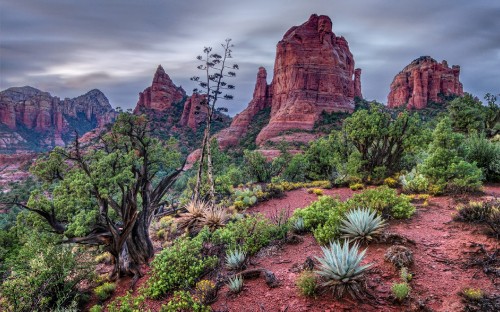 Image brown rock formation with green plants during daytime