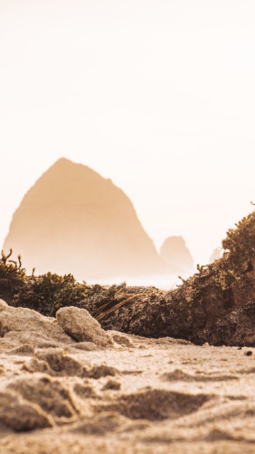 Image rock, desserts, wood, natural landscape, body of water