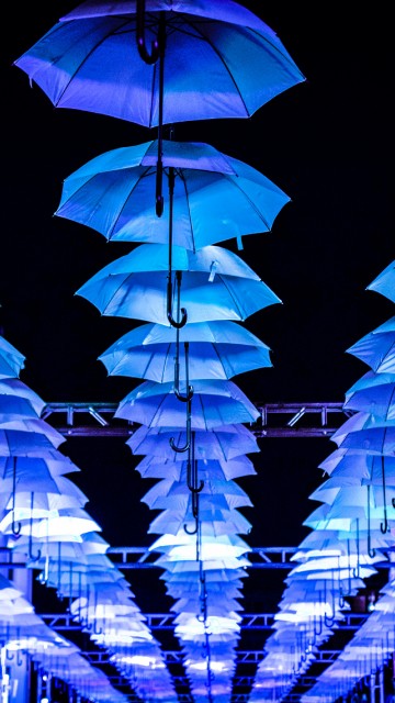 Image orange umbrellas on black background