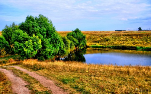 Image green trees beside river under blue sky during daytime