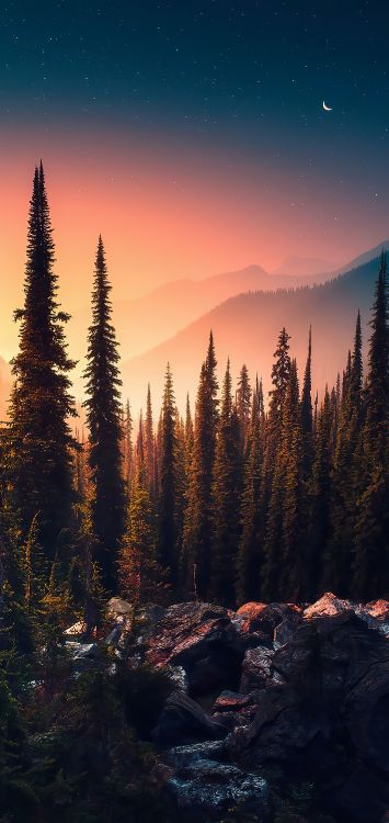 Nature, Art, la Peinture de Paysage, Atmosphère, Afterglow. Wallpaper in 1422x3000 Resolution