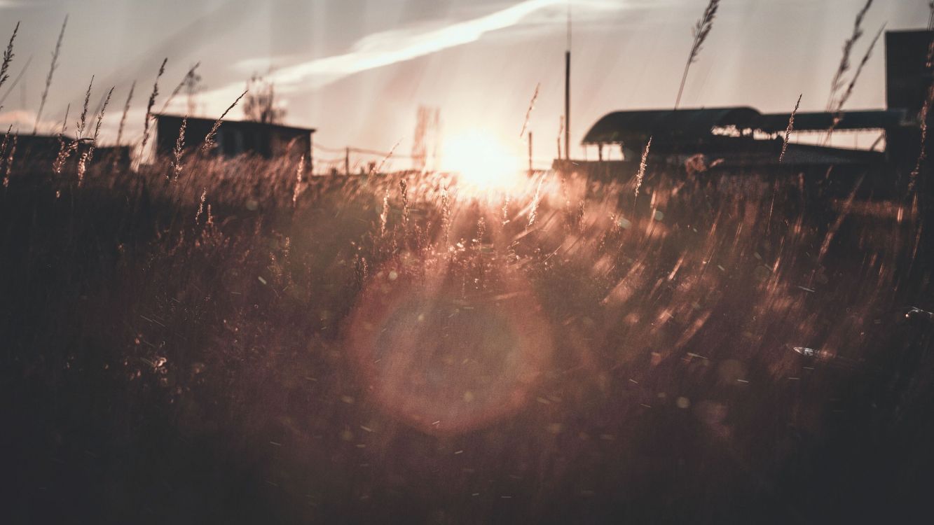 Les Rayons du Soleil Traversent Les Arbres. Wallpaper in 3500x1969 Resolution