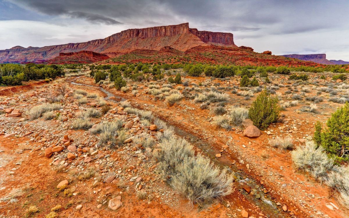 Herbe Verte Sur la Montagne Rocheuse Brune Sous Ciel Nuageux Pendant la Journée. Wallpaper in 2560x1600 Resolution
