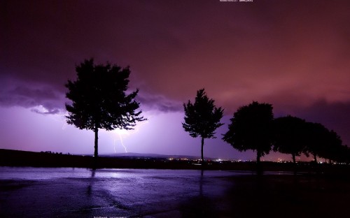 Image silhouette of trees near body of water during night time