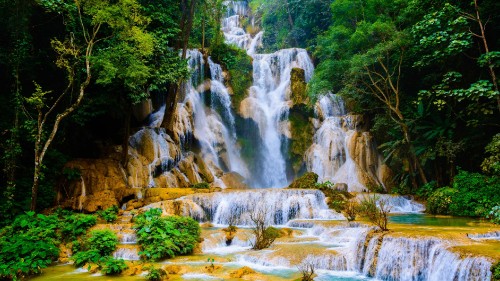 Image waterfalls in the middle of the forest during daytime