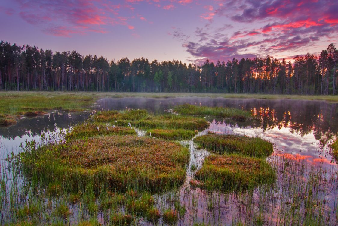 green grass field near body of water during daytime