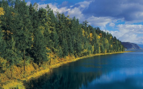 Image green trees beside river under blue sky during daytime