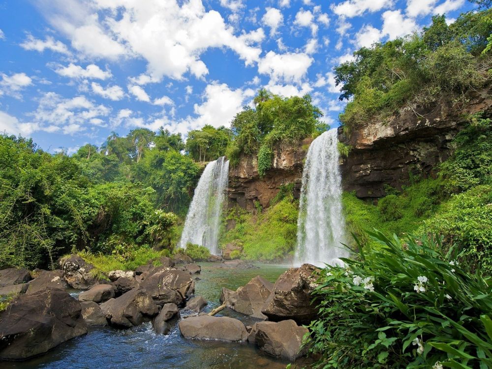 green trees beside river under blue sky during daytime