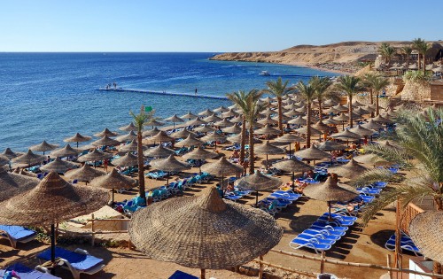 Image brown and white lounge chairs on beach during daytime