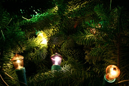 Image garland, tree, lighting, fir, jungle