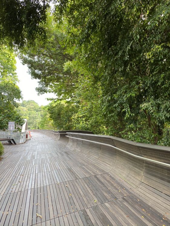 Camino, la Superficie de la Carretera, Madera, de Madera, la Luz Del Sol. Wallpaper in 1536x2048 Resolution