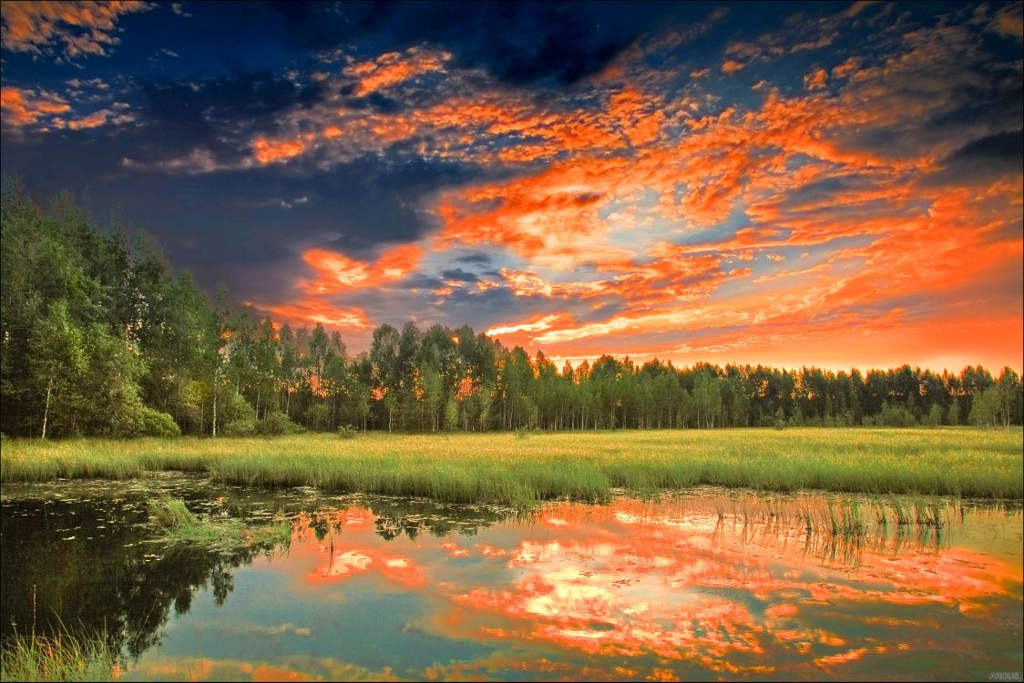 Green Grass Field Near Body of Water During Daytime. Wallpaper in 3005x2005 Resolution