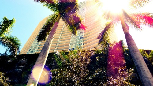 Image green palm tree near white concrete building during daytime